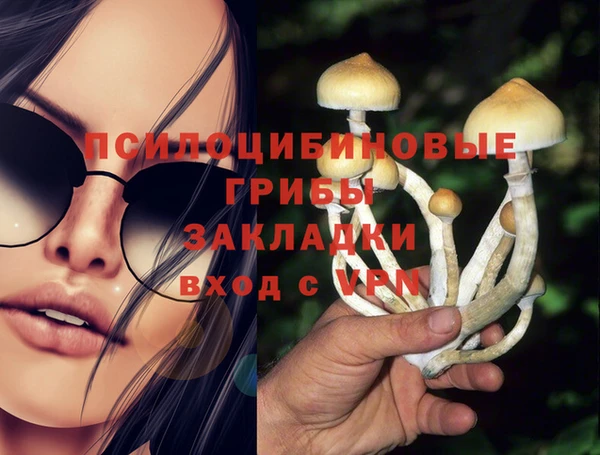 MESCALINE Надым