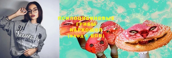амф Михайловск