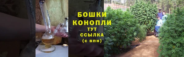 амф Михайловск