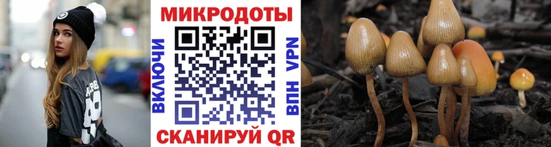 цены   маркетплейс клад  Псилоцибиновые грибы Psilocybe  Электроугли 